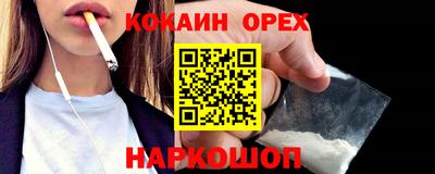 сатива Новокубанск