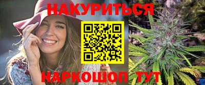 сатива Новокубанск