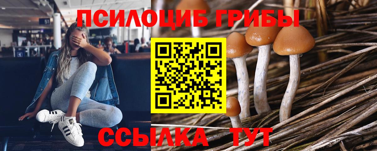 Советский  Галлюциногенные грибы мицелий  Вход с VPN 