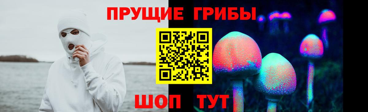 Галлюциногенные грибы Psilocybe Советский